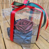 ndividually wrapped dark chocolate rose in deep red, finished with festive red & green Christmas ribbon. A luxurious handmade chocolate gift from Prestige Patisserie, London.